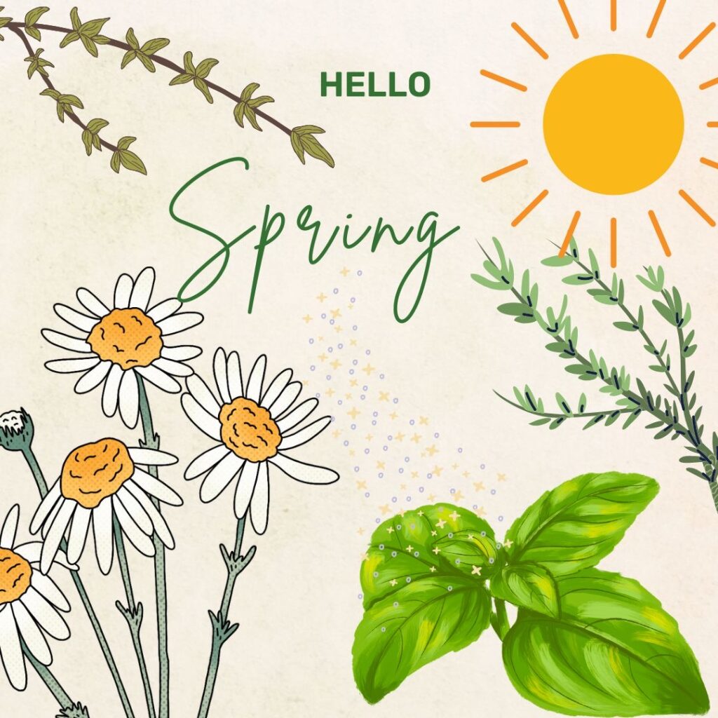 Round image with text hello spring and some abstract pictures of chamomile, basil, rosemary and thyme